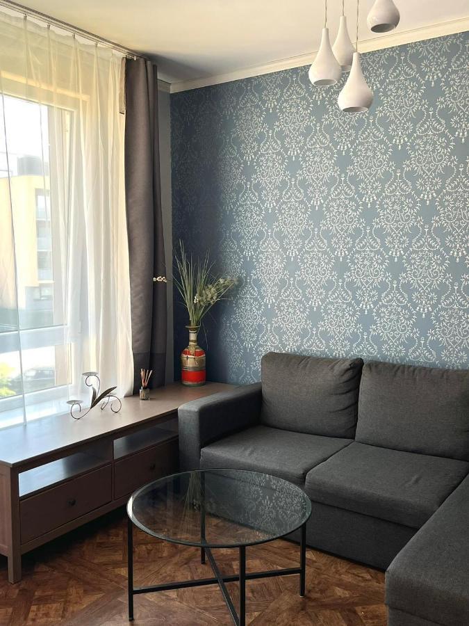 Exclusive Apartment In Vilnius Near Ozas And Technopolis Kültér fotó